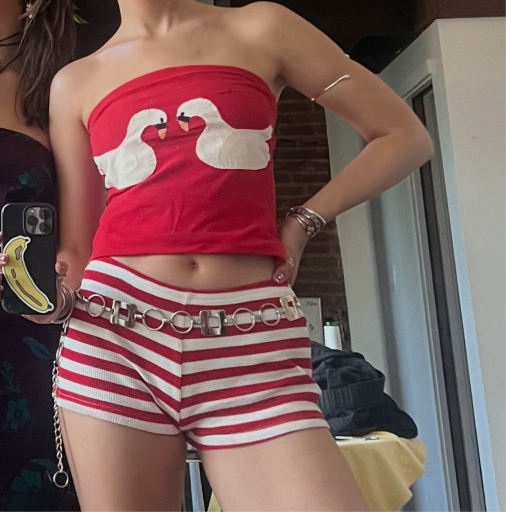Swans in love tube top(medium)