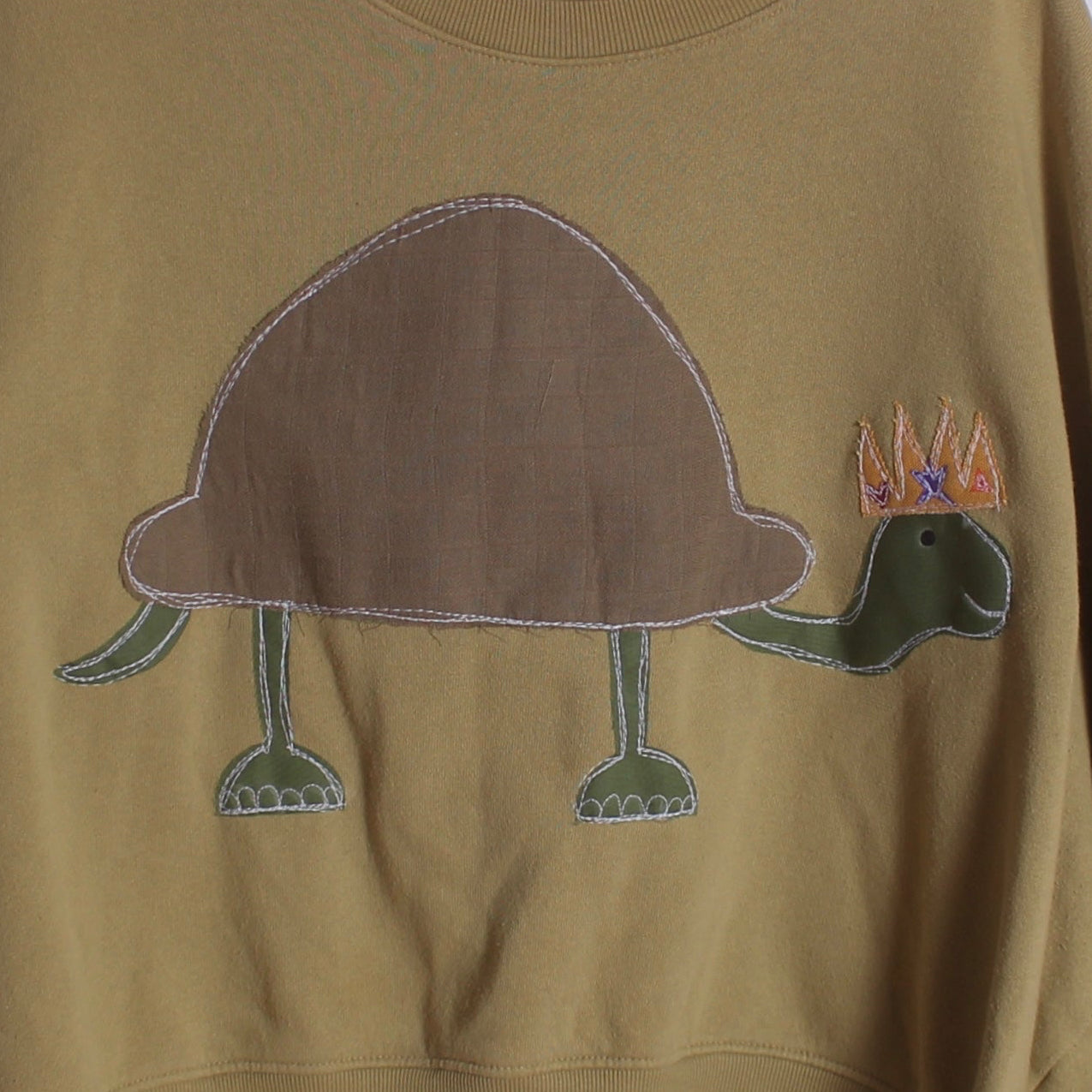 Princess turtle crew(large) - Magg's Rags