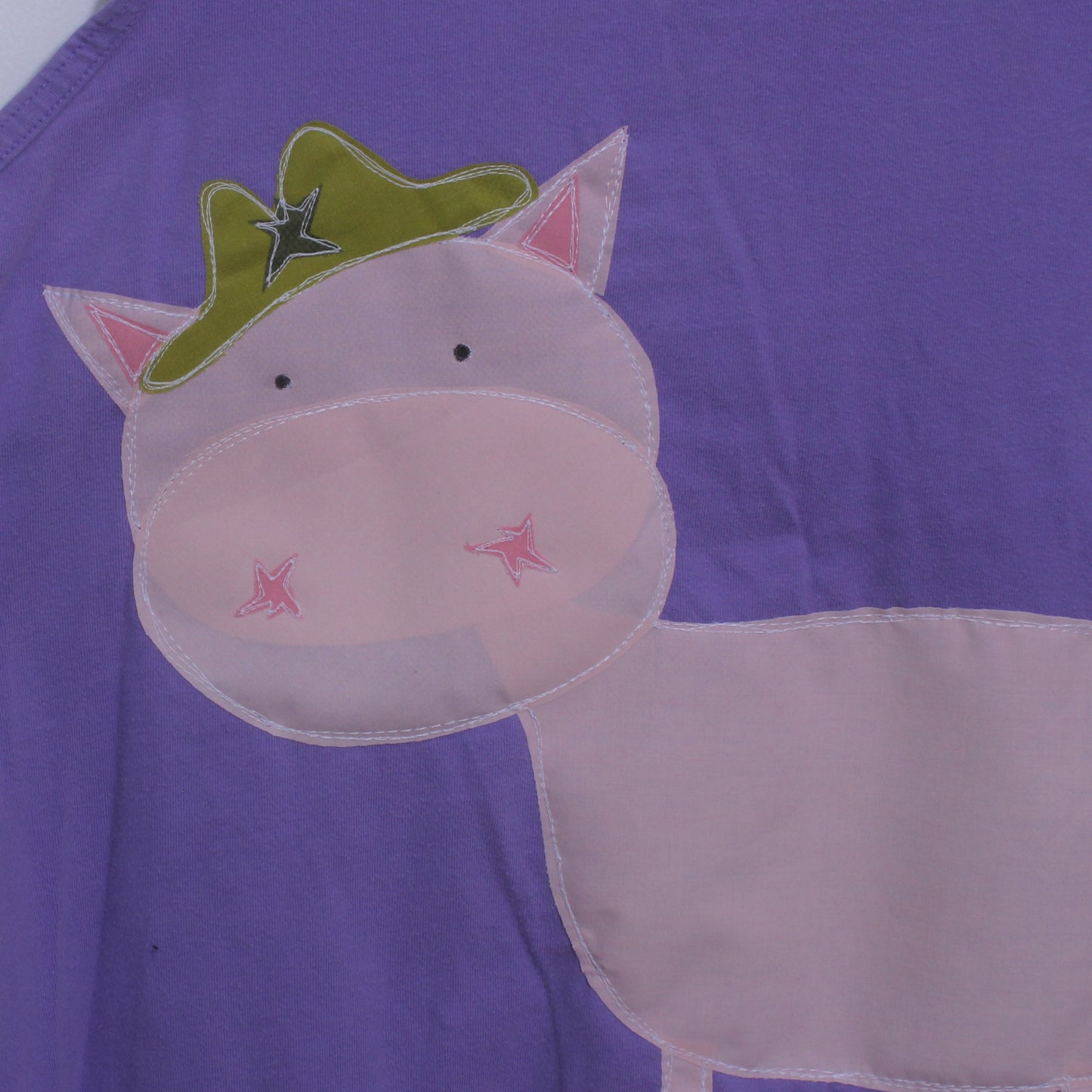 Fancy pig tank(XXL)